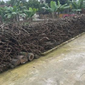 Bán đất thôn Hạ Đồng - Xã Nguyên Hoà - Phù Cừ - Hưng Yên