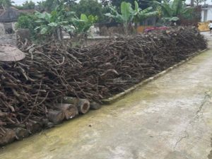 Bán đất thôn Hạ Đồng - Xã Nguyên Hoà - Phù Cừ - Hưng Yên