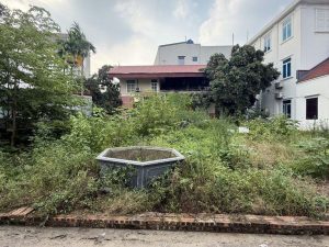 Bán 75m2 đất Tân Quang, Văn Lâm, Hưng Yên, ô tô tránh, 10m ra trục chính thôn