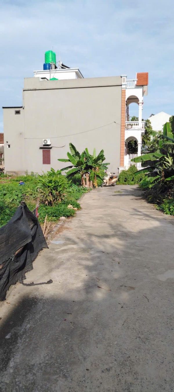 Bán lô góc 60m² Hoà Phong, Mỹ Hào – Đường ô tô, giá rẻ cho nhà đầu tư