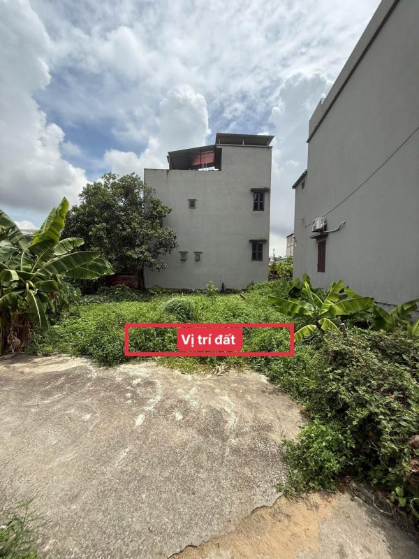 Bán lô góc 60m² Hoà Phong, Mỹ Hào – Đường ô tô, giá rẻ cho nhà đầu tư