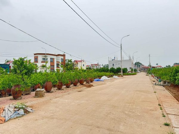 Bán 87,5m² đất tặng kèm nhà 2 tầng mới xây tại Hoàng Trạch, Mễ Sở – Hưng Yên, giáp Vành Đai 4, giá chỉ từ 5,x triệu/m²