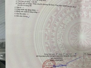 Bán đất nền 65.7 m2 tại thôn Phi Liệt, Xã Liên Nghĩa, Văn Giang, Hưng Yên chỉ với 31,5 triệu/m2