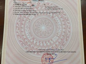 Lô góc 110,3 m² hoa hậu Long Hưng, Văn Giang cổng ĐHBK ngã tư 8m đường nhựa mới cách Vin 2&3 cao tốc chỉ 3km