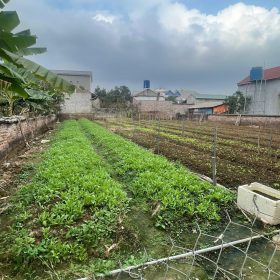 Cần bán mảnh đất 60m2 cách chợ Đông Tảo 200m giá đầu tư 1.190 tỷ