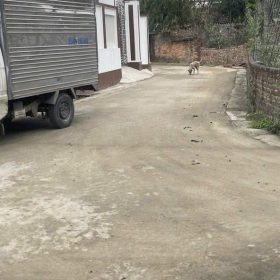 Chủ gửi lô đất tại thôn Lê xá xã dương Quang thị xã Mỹ hào Diện tích 52,5 m2 Bán theo hiện trạng