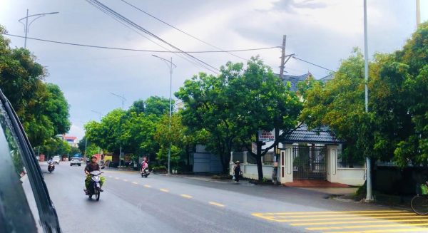 Bán đất ở 300m², 2 mặt tiền, sổ đỏ 100%, sát QL39B – TP. Hưng Yên, giá chỉ 31 tỷ