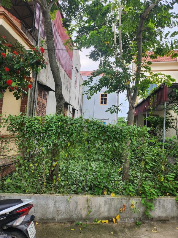 Bán đất Lại Ốc, Long Hưng, Văn Giang – Đường thông, nở hậu, ô tô vào tận nơi