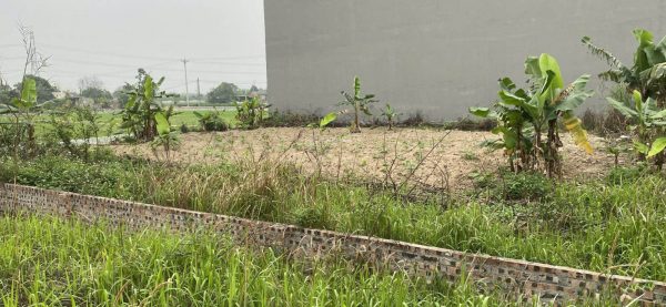 Bán đất 125 m² tại Trịnh Xá, Chỉ Đạo, Văn Lâm, Hưng Yên, 37,5 triệu / m2