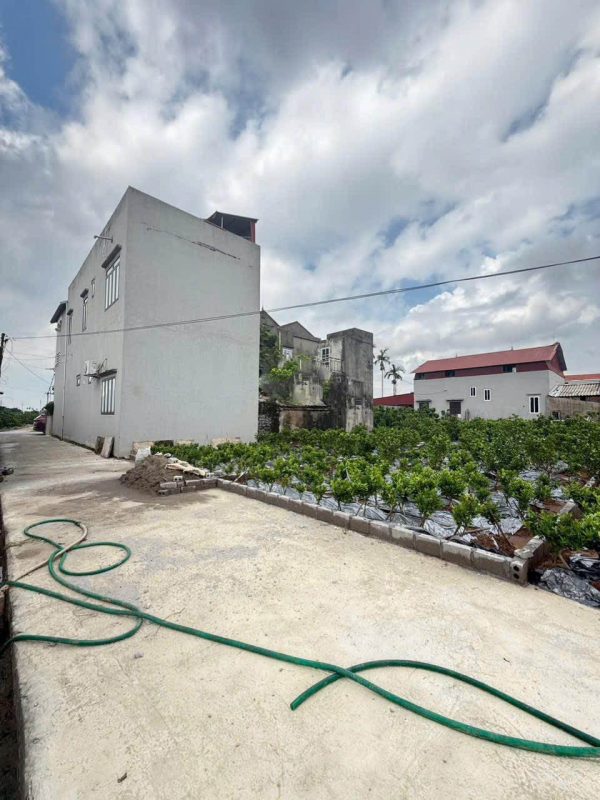 Bán 62.5m2 gấp Đất tại Xã Thắng Lợi, Văn Giang, Hưng Yên, 36 triệu/m2
